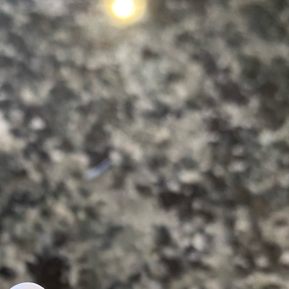 14K Gold Paper Clip Bracelet 7” inches - Picture 9 of 14